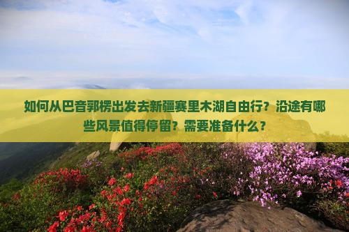如何从巴音郭楞出发去新疆赛里木湖自由行？沿途有哪些风景值得停留？需要准备什么？