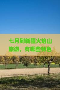 七月到新疆火焰山旅游，有哪些特色小吃值得尝试？
