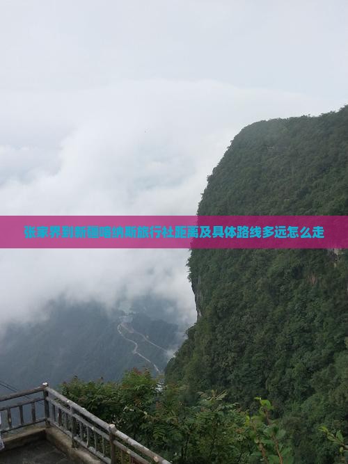 张家界到新疆喀纳斯旅行社距离及具体路线多远怎么走