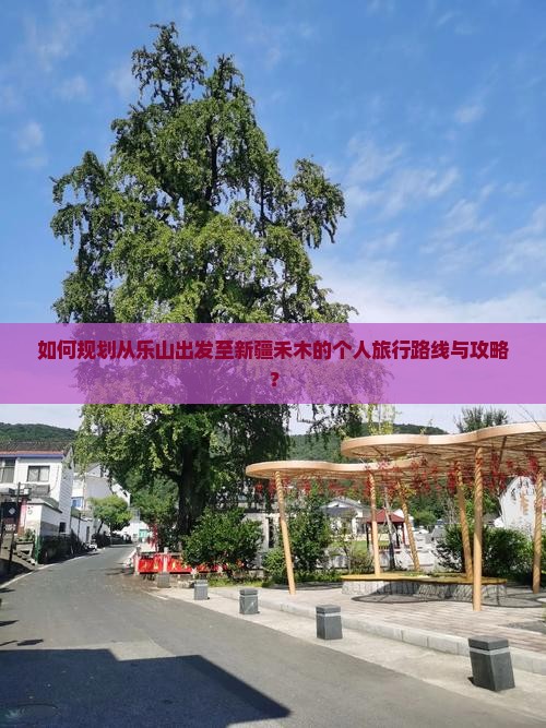 如何规划从乐山出发至新疆禾木的个人旅行路线与攻略？