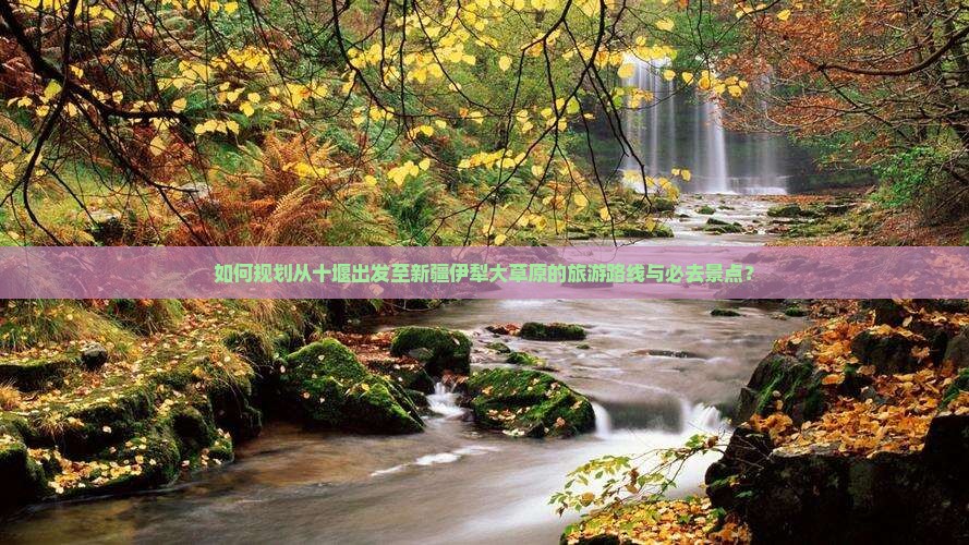 如何规划从十堰出发至新疆伊犁大草原的旅游路线与必去景点？