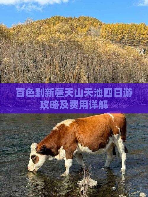 百色到新疆天山天池四日游攻略及费用详解