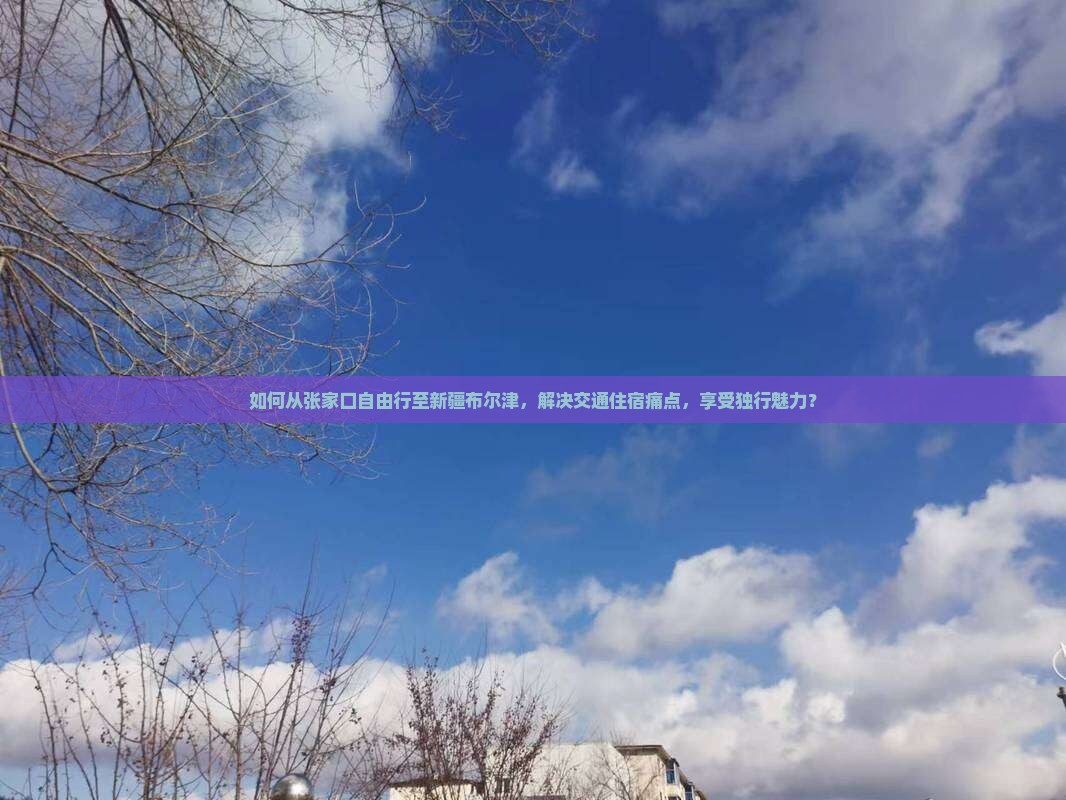 如何从张家口自由行至新疆布尔津，解决交通住宿痛点，享受独行魅力？
