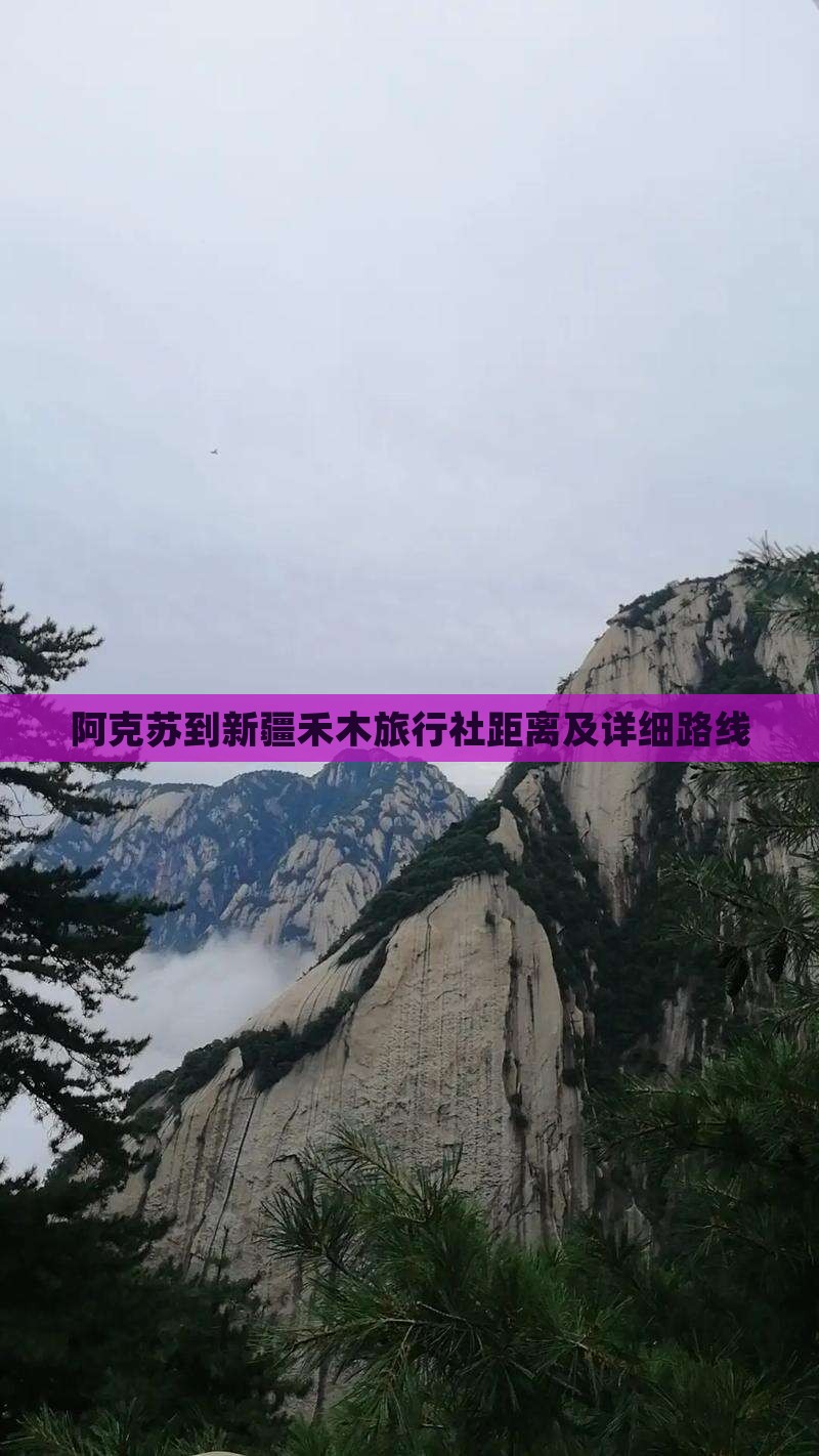 阿克苏到新疆禾木旅行社距离及详细路线