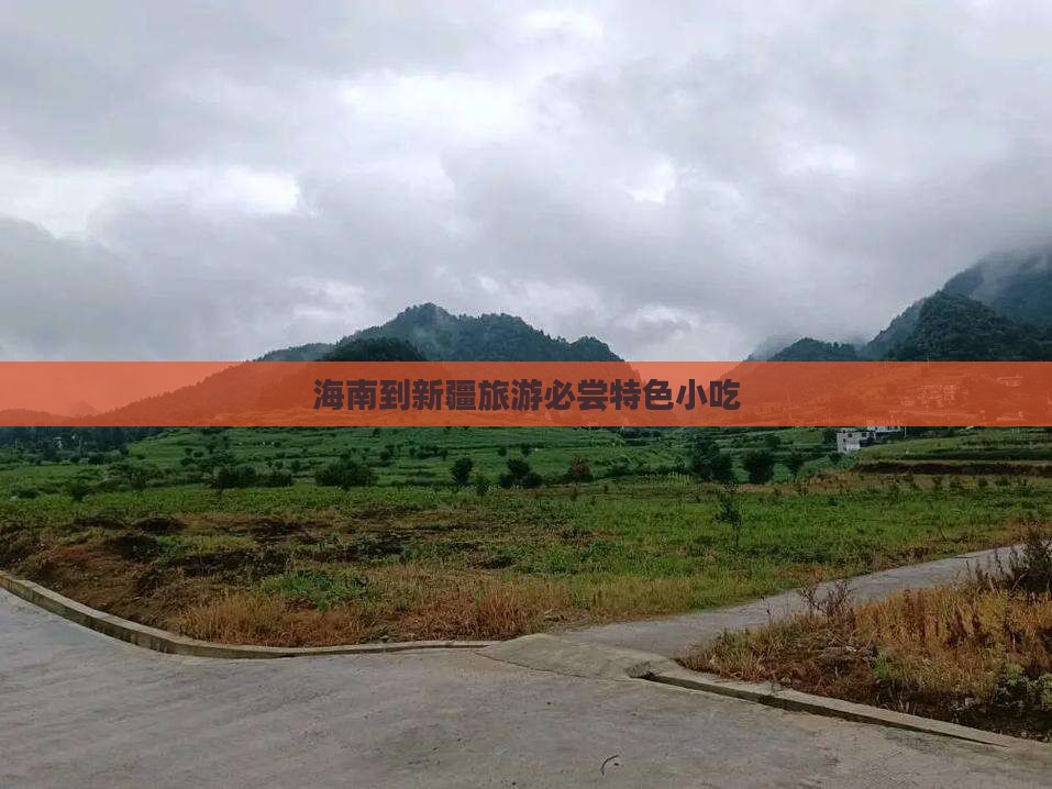 海南到新疆旅游必尝特色小吃