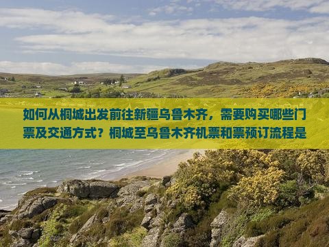 如何从桐城出发前往新疆乌鲁木齐，需要购买哪些门票及交通方式？桐城至乌鲁木齐机票和票预订流程是怎样的？