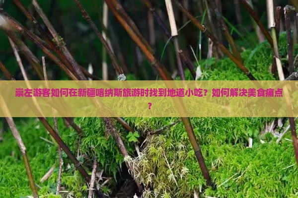 崇左游客如何在新疆喀纳斯旅游时找到地道小吃？如何解决美食痛点？