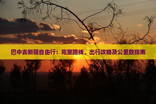 巴中去新疆自由行：完整路线、出行攻略及公里数指南
