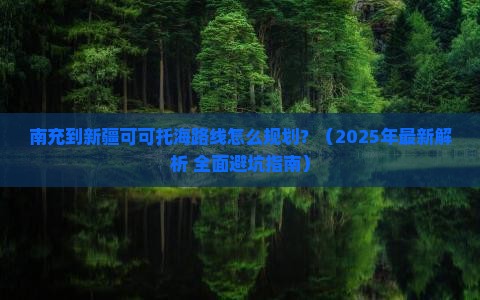 南充到新疆可可托海攻略