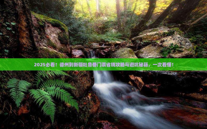 德州到新疆吐鲁番门票