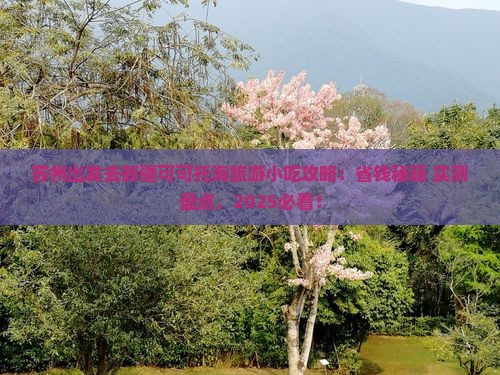 苏州去新疆可可托海旅游小吃