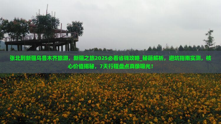 张北到新疆乌鲁木齐旅游
