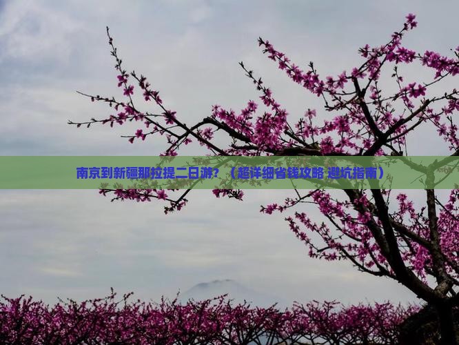 南京到新疆那拉提二日游
