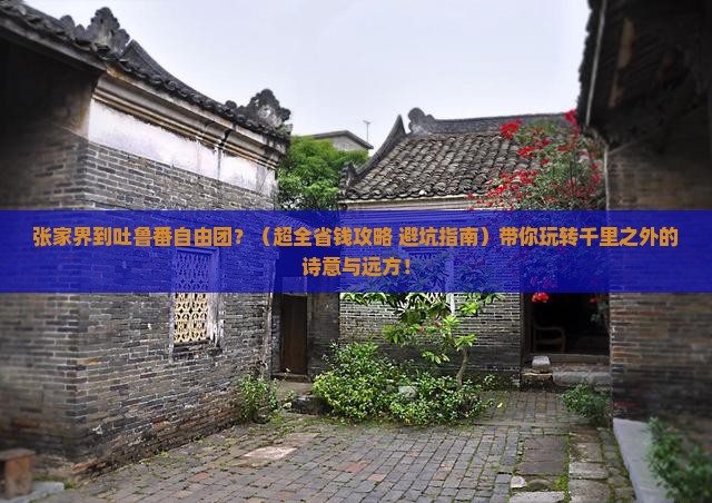 张家界到新疆吐鲁番自由团
