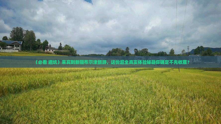 来宾到新疆布尔津旅游