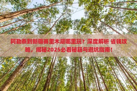 阿勒泰到新疆赛里木湖哪里玩