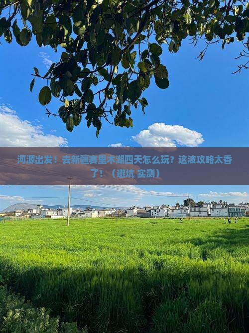 河源去新疆赛里木湖四日游