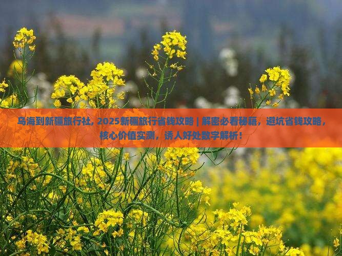 乌海到新疆旅行社