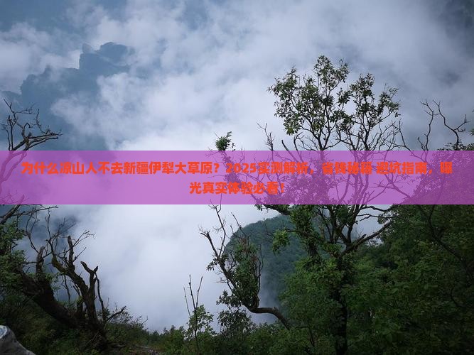 凉山去新疆伊犁大草原攻略