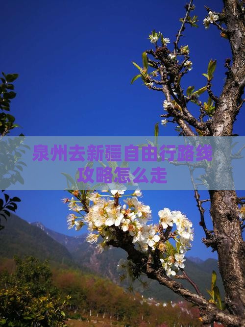 泉州去新疆自由行