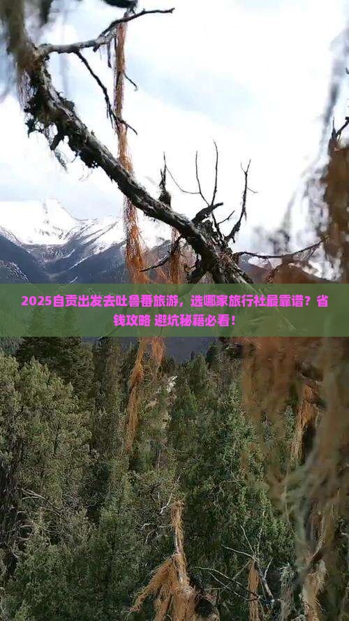 自贡到新疆吐鲁番旅行社