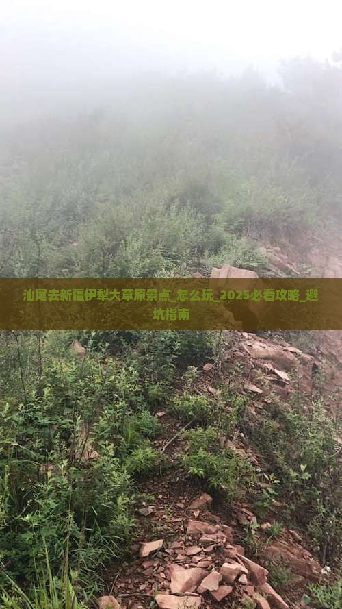 汕尾去新疆伊犁大草原景点