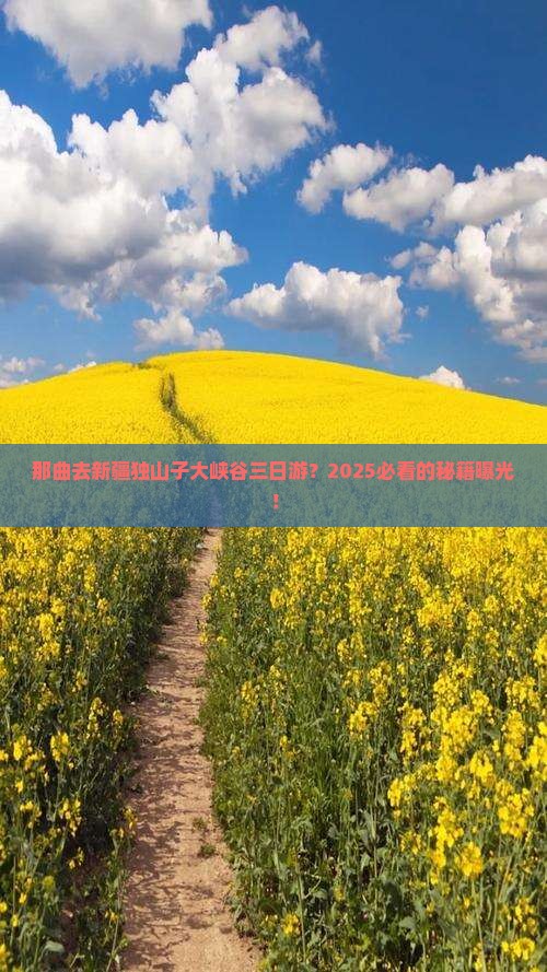 那曲去新疆独山子大峡谷三日游