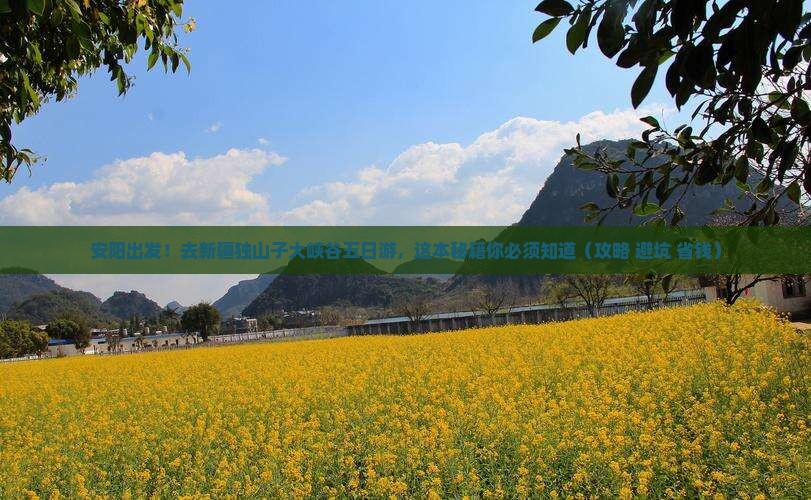 安阳去新疆独山子大峡谷五日游