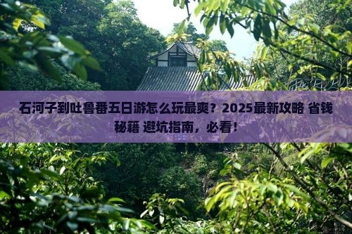 石河子到新疆吐鲁番五日游