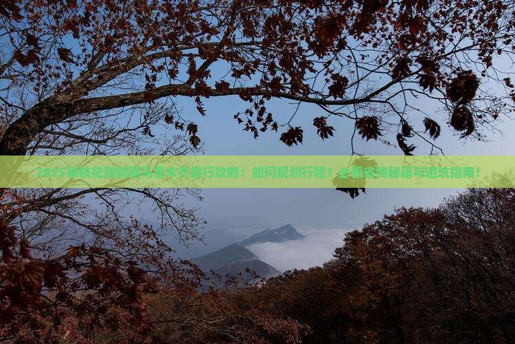 攀枝花到新疆乌鲁木齐旅行社