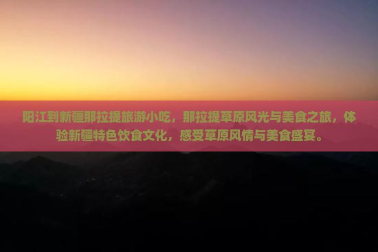 阳江到新疆那拉提旅游小吃