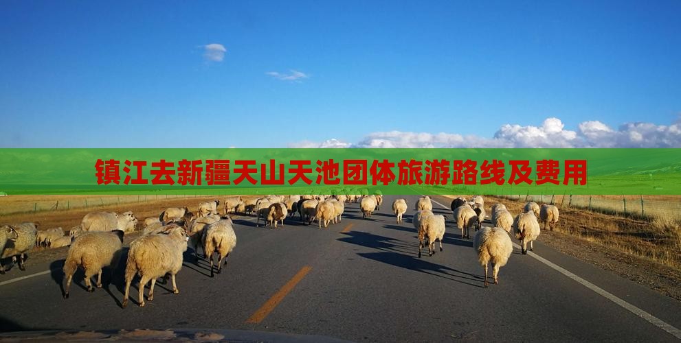 镇江去新疆天山天池团体旅游