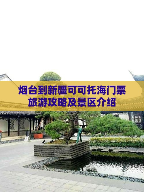 烟台到新疆可可托海门票