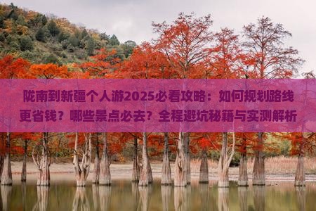 陇南到新疆个人游