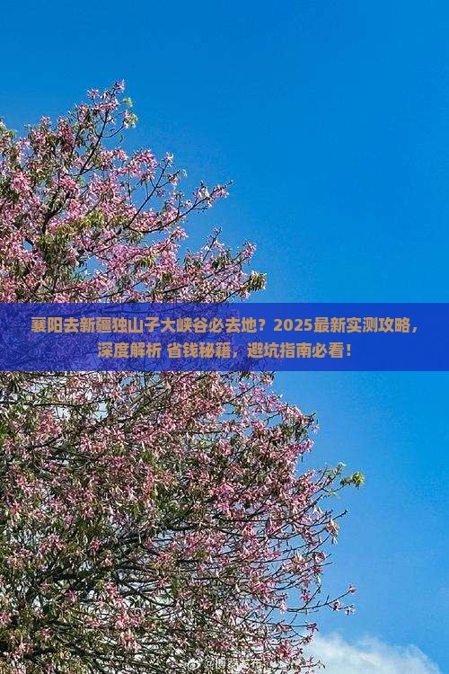 襄阳去新疆独山子大峡谷必去地