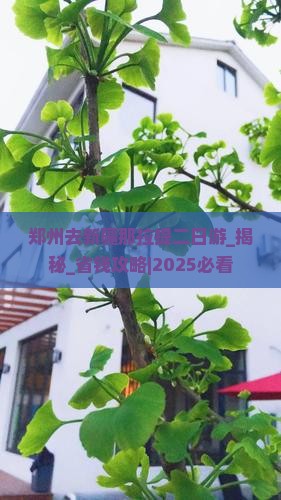 郑州去新疆那拉提二日游