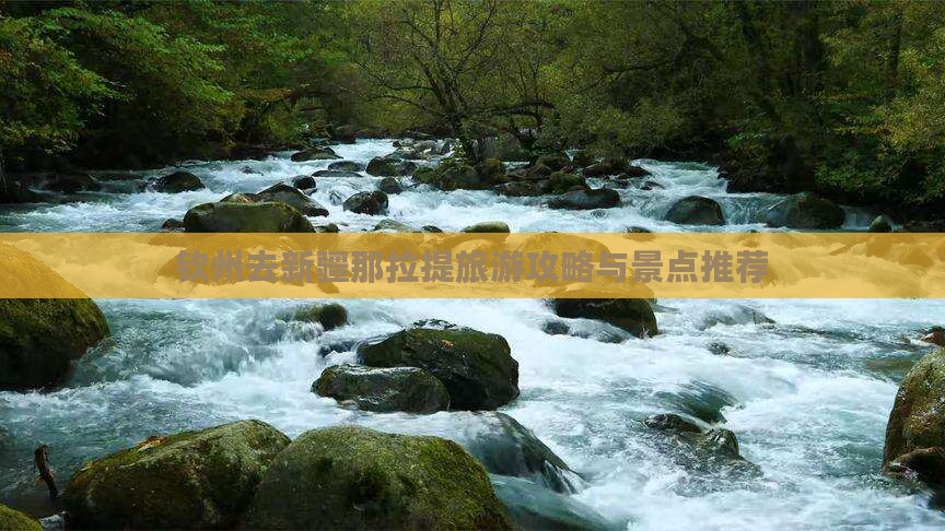 钦州去新疆那拉提自由行
