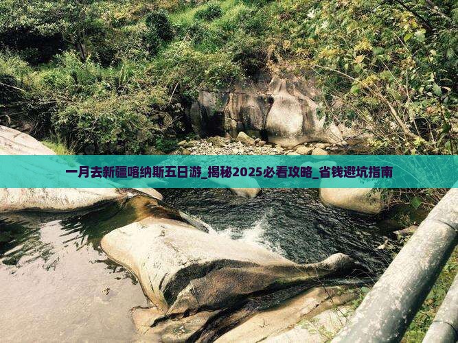 一月去新疆喀纳斯五日游