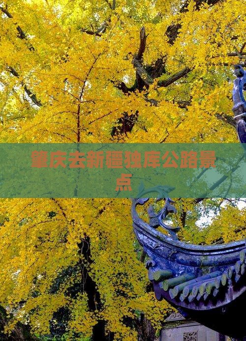 肇庆去新疆独库公路景点
