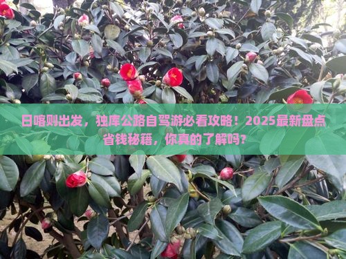 日喀则去新疆独库公路哪里玩