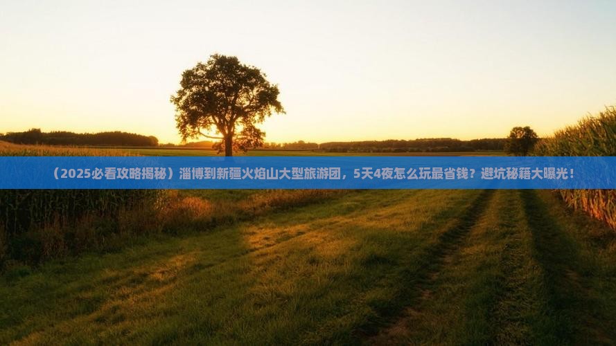 淄博到新疆火焰山大型旅游团