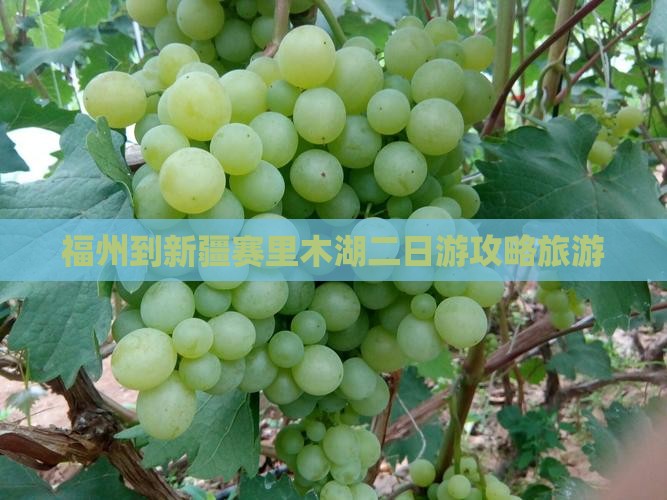 福州到新疆赛里木湖二日游