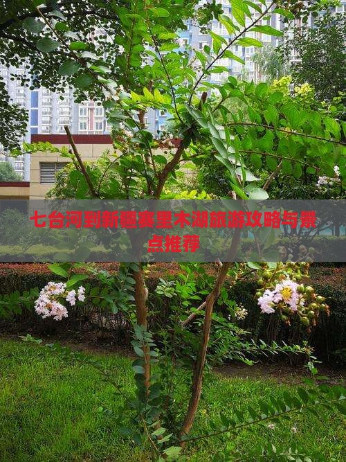 七台河到新疆赛里木湖景点