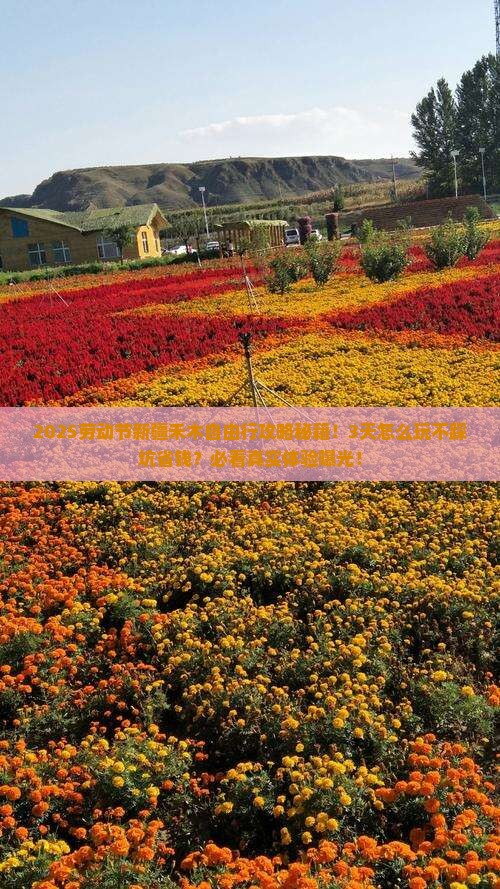 劳动节到新疆禾木自由行