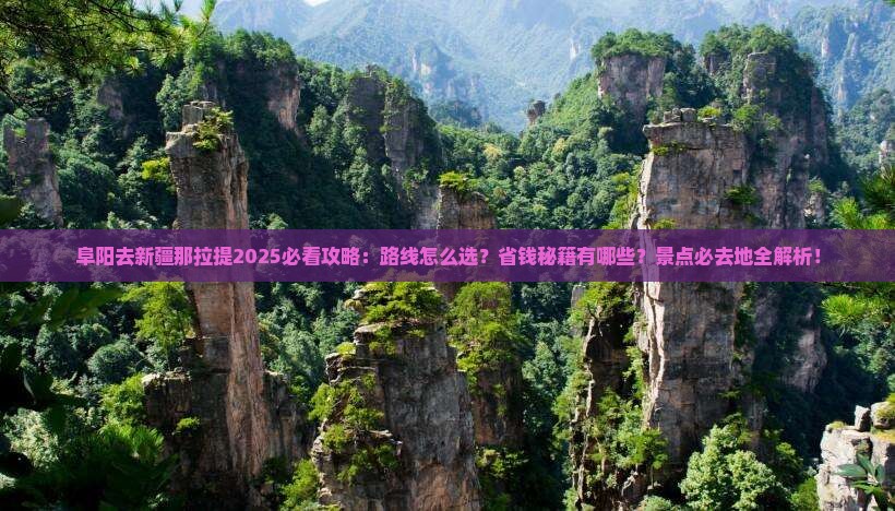 阜阳去新疆那拉提必去地