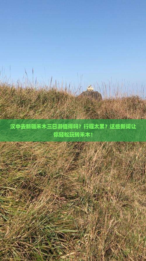汉中去新疆禾木三日游 汉中去新疆禾木三日游