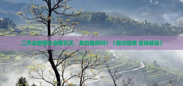 二月去新疆吐鲁番五日游