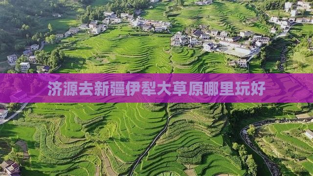 济源去新疆伊犁大草原哪里玩