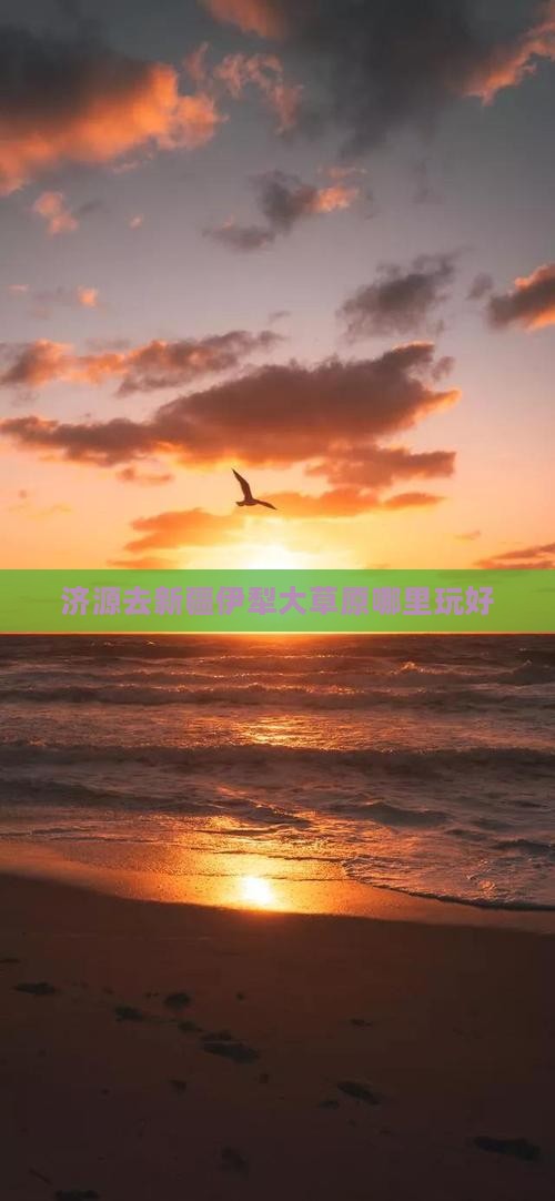 济源去新疆伊犁大草原哪里玩