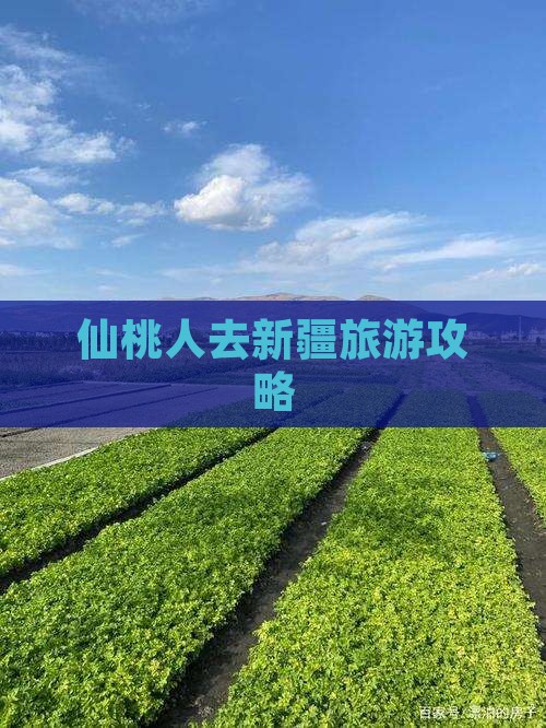 仙桃去新疆团体旅游